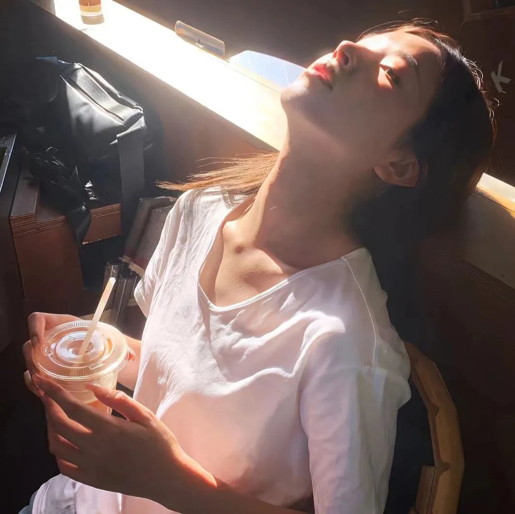 藏身之处2023封面