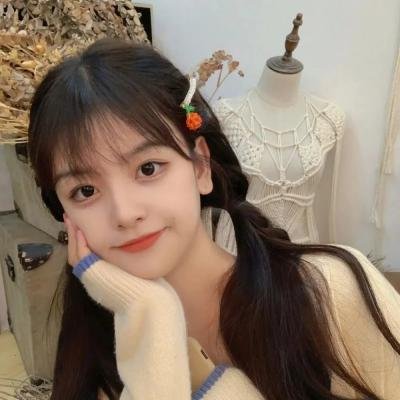 愿妻如蔷薇封面